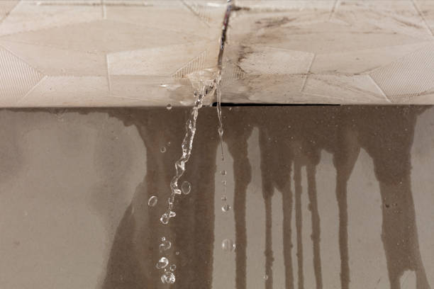 Professional Burst Pipe Cleanup technician working in North Baltimore, OH